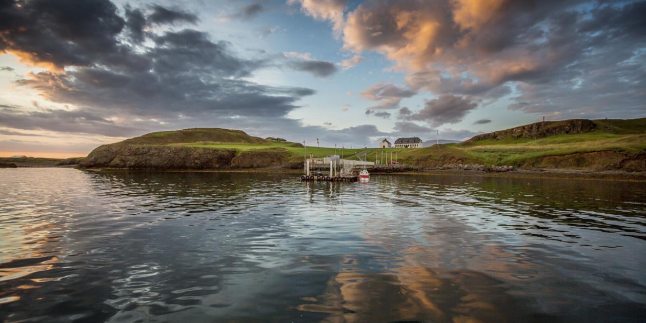 Viðey-Ferjan