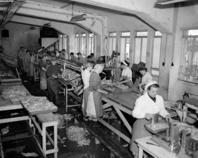 Sjóminjasafn safnfræðsla leiðsögn