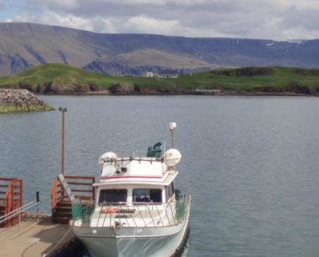 Viðeyjarferjan Gestur