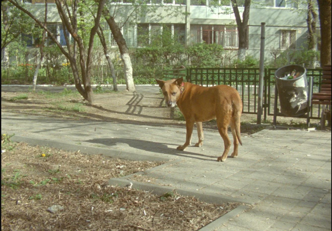 Ljósmyndasafn - ©Nanna Debois Buhl