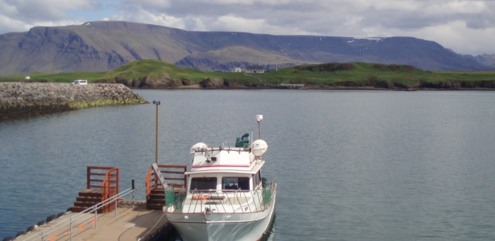 Viðeyjarferjan Gestur