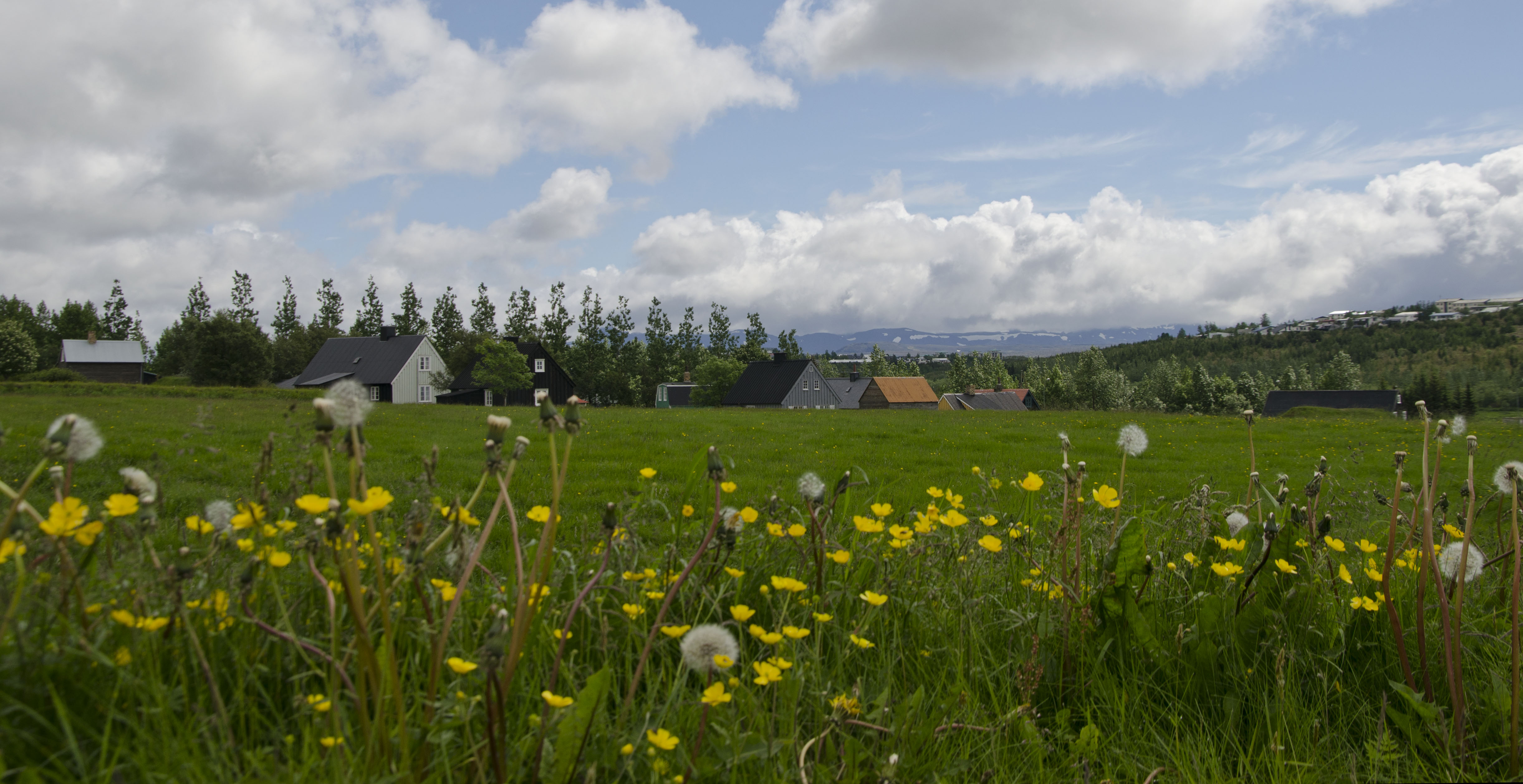 Árbæjarsafn að sumri
